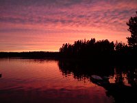 DSC00283  Så flot at se på