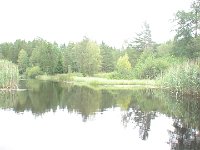 DSC00626  Stemningsbillede fra kanoturen