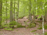 S1070046  Natur