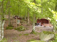 S1070047  Natur