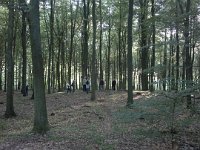01062011104  Mere skov