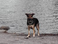 S1450021  Vi fik besøg af en vuffer