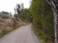 S1460008  På vandring i skoven