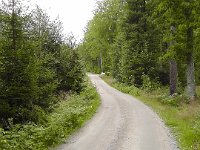 S1460009  På vandring i skoven