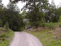 S1460010  På vandring i skoven