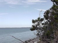 S2610014  Stranden