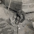 Album10-0014a