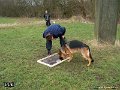 020209-188-39Sjov