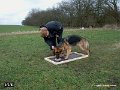 020209-189-39Sjov