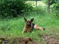 020628-320-39Skovtur