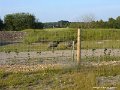 BILD0104