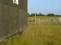 BILD0108