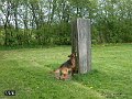 020507-232-39Traening