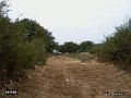 020919-353-Stenland