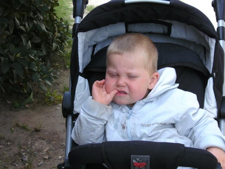 BILD0047.JPG - Sådan ser Oscar u, når han er sur