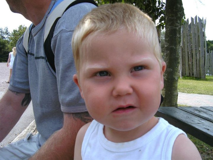 BILD0130.JPG - Oscar