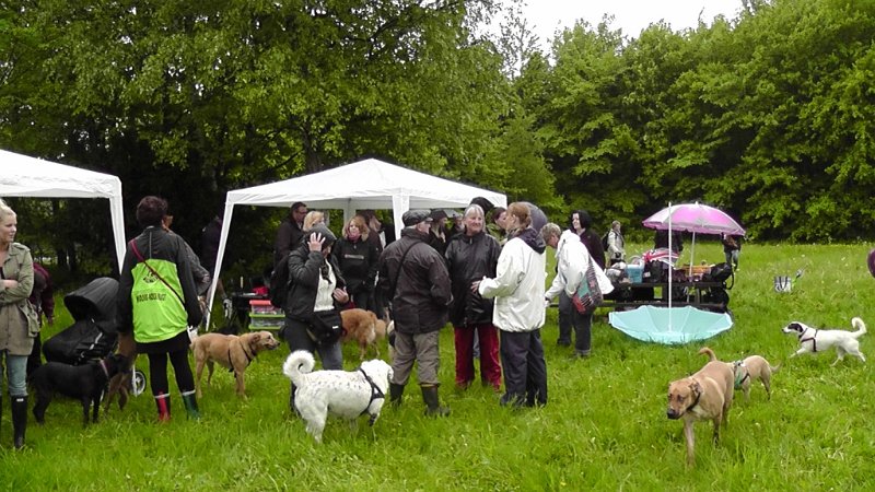 S2040003.JPG - Der var mange deltagere - både hunde og mennesker