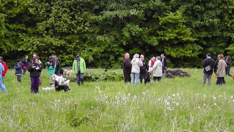 S2040016.JPG - Både hunde og mennesker får hyggesnakket