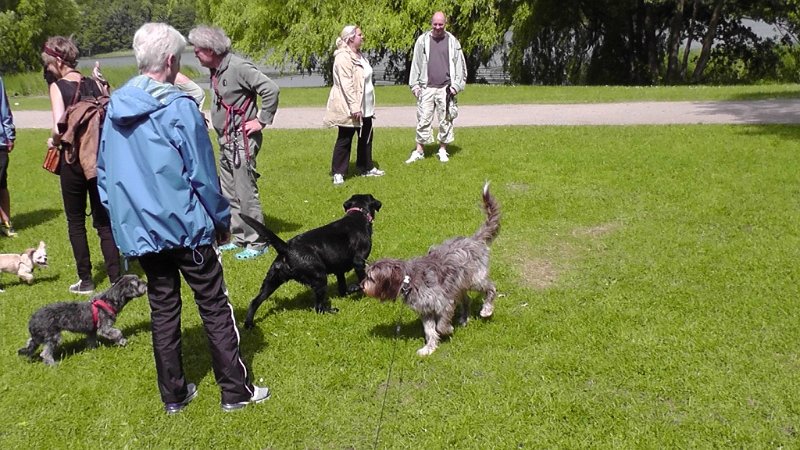 S2120004.JPG - Perry og Zindy sammen med mor