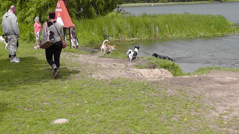 S2120005.JPG - Gåtur rundt i området ved Bagsværd sø