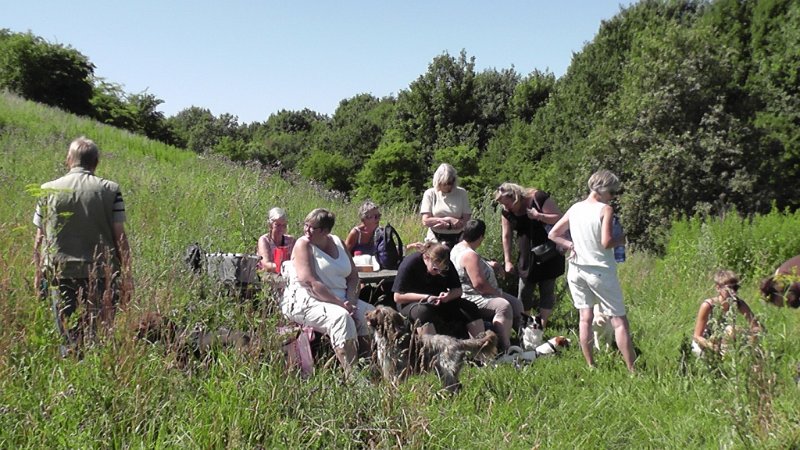 S2190013.JPG - Lækkert vejr, dejlge mennesker og hunde. Hvad mere kan man forlange.