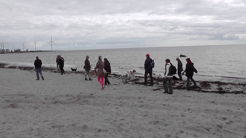 S2280002.JPG - På Brøndby Strand. Vejret var ikke det bedste, men vi fik da en hyggelig tur på stranden