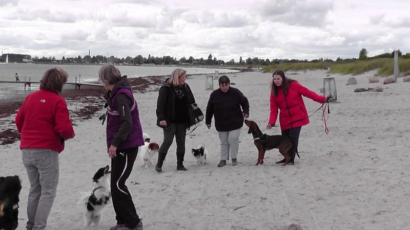 S2280006.JPG - Dejlige mennesker med deres dejlige hunde