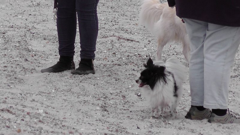S2280017.JPG - Hygge på stranden