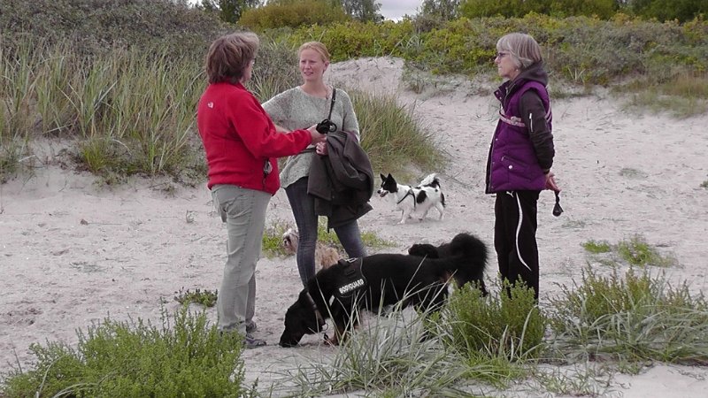 S2280019.JPG - Hygge på stranden