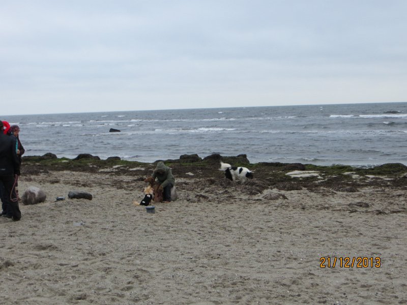 IMG_0107.JPG - Lidt hygge på stranden