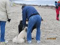 IMG_0108