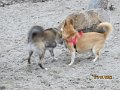 IMG_0110