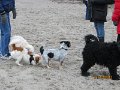 IMG_0112
