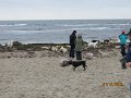 IMG_0113