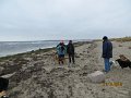 IMG_0115