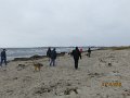 IMG_0116