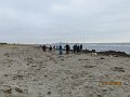 IMG_0117