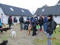 IMG_0122
