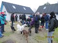 IMG_0123