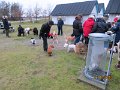 IMG_0125
