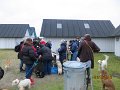 IMG_0126
