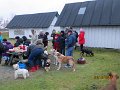 IMG_0133