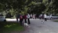 201306-Farum