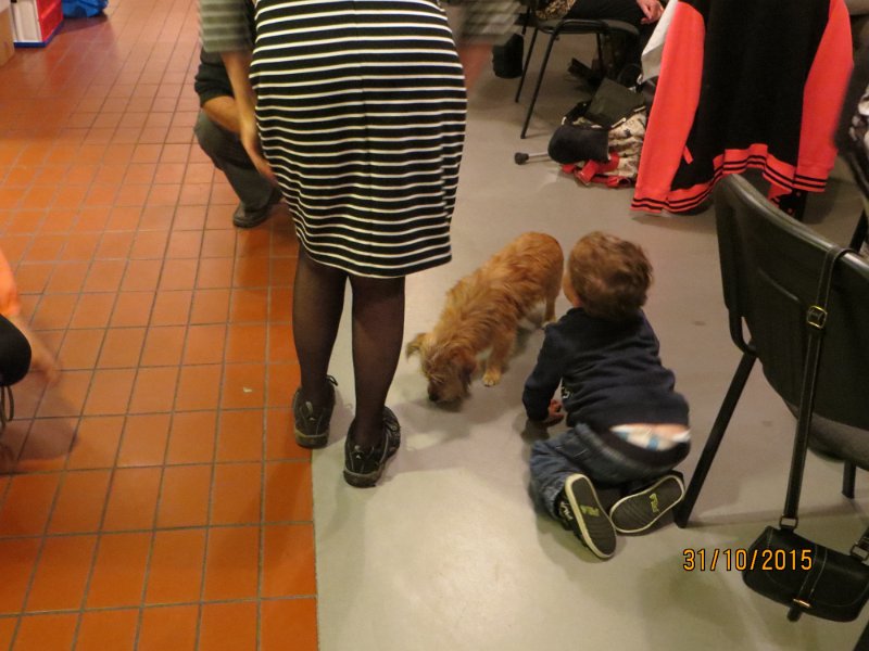 IMG_1317.JPG - Der var da også enkelte hunde med.