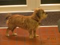 IMG_1325